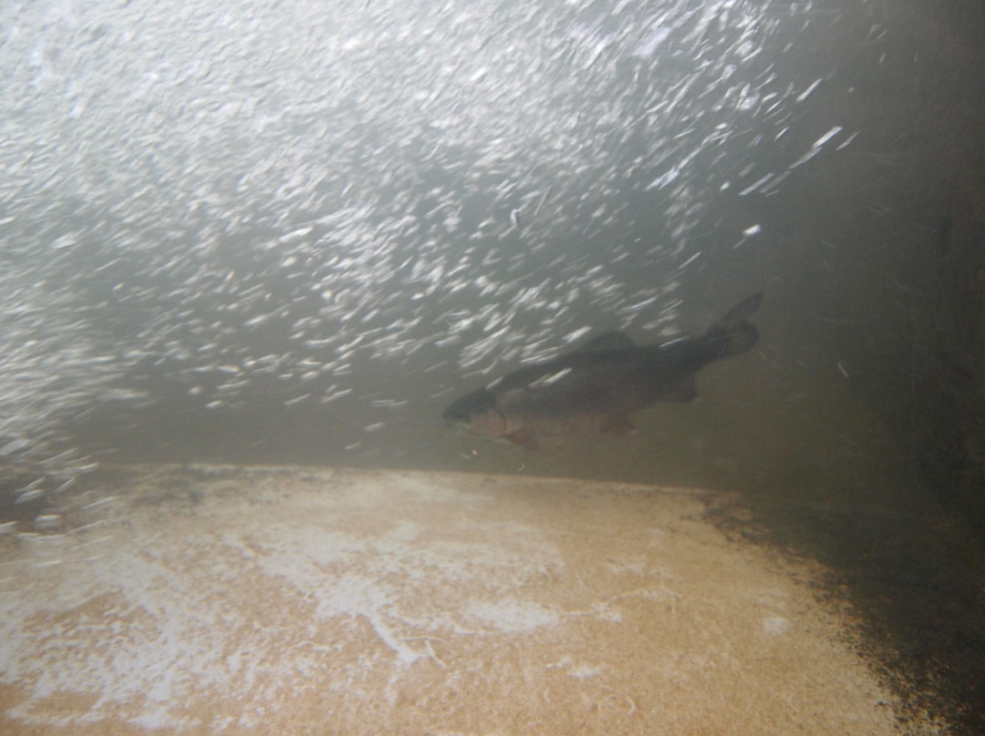 Hokkaido Tokachi Echology Park-音更町必去景点