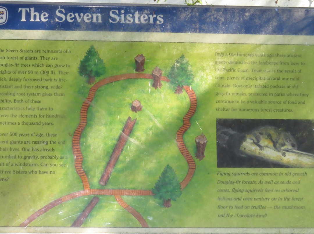 The Seven Sisters Trail景点图片