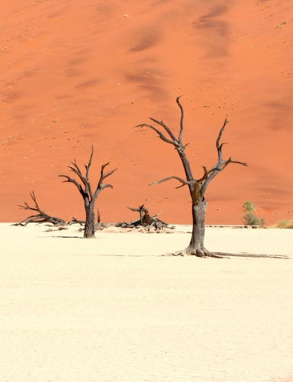 Wild Wind Safaris-温德和克必去景点