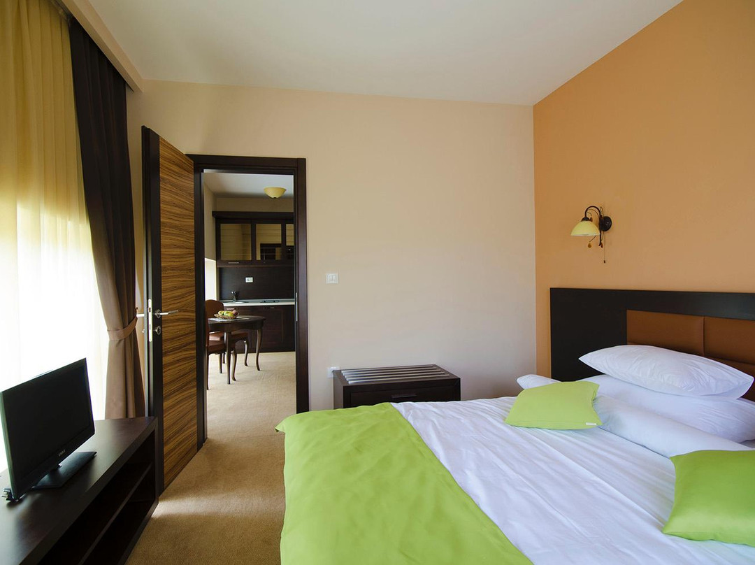 Hotel Monte Rosa主图