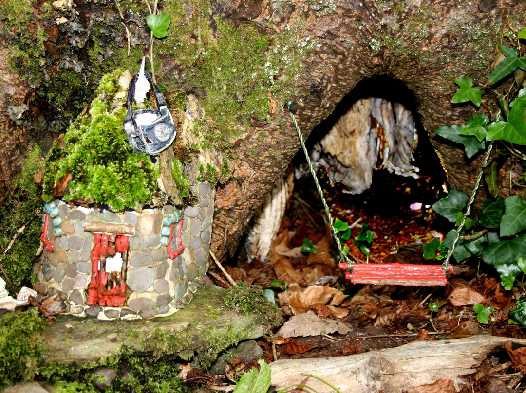 Irish Fairy Trails-Caherdaniel必去景点