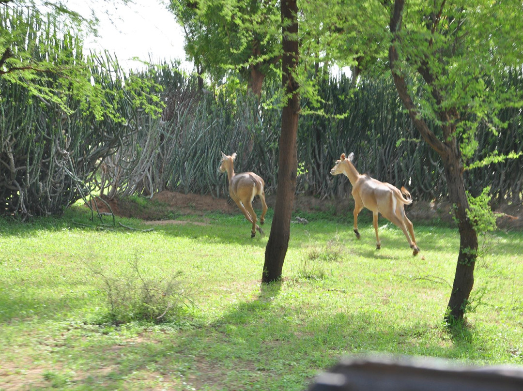 Ganga Trails-斋蒲尔必去景点