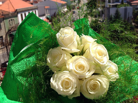 Pharmacy Museum-波尔图必去景点