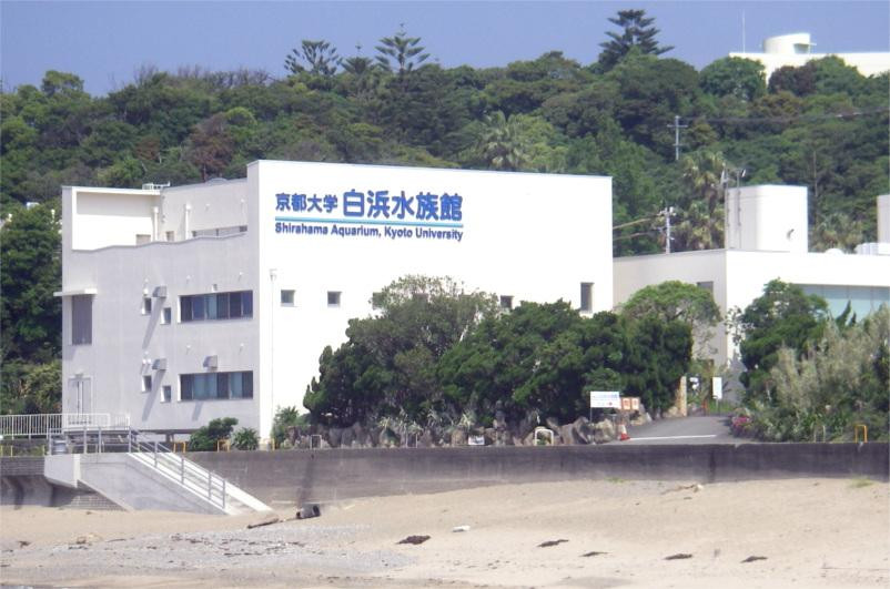 Shirahama Aquarium Kyoto University-白滨町必去景点