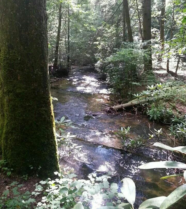 Long Creek Falls景点图片