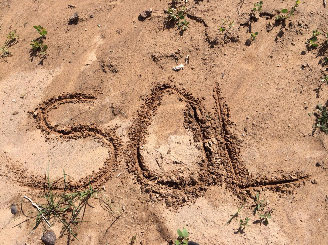 Sol Board Sports-阿尔伯克基必去景点