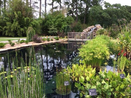 Coastal Georgia Botanical Gardens-萨凡纳必去景点