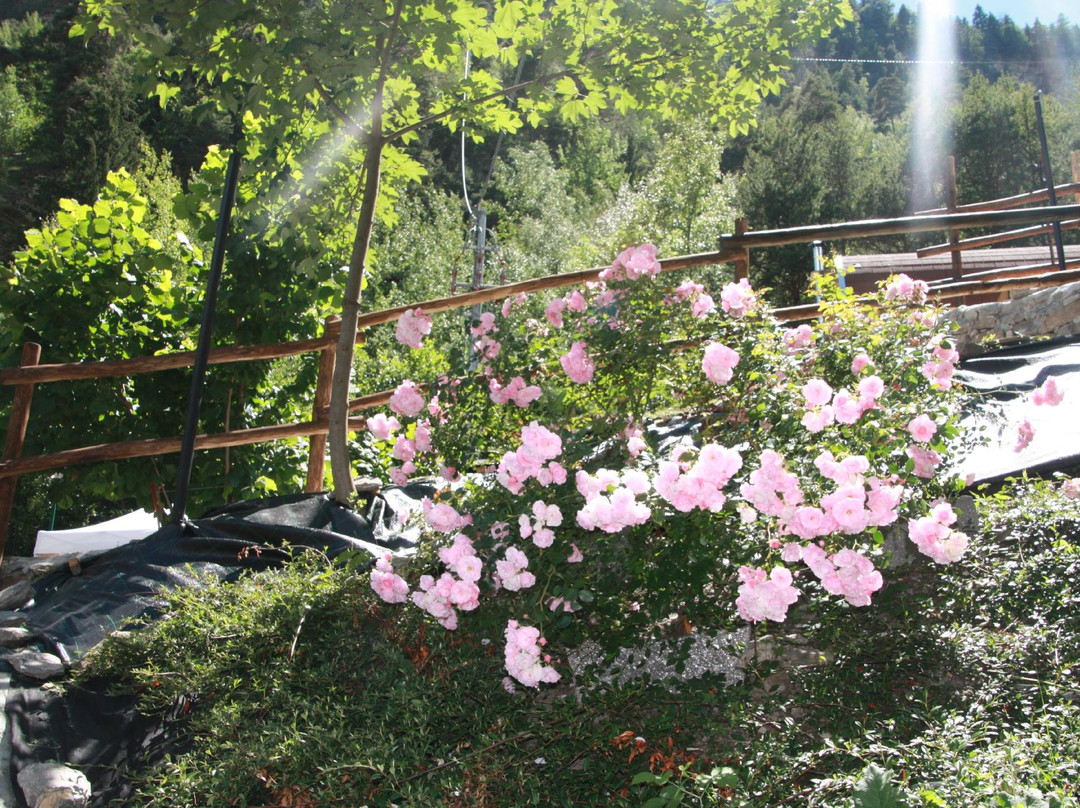 Camping du Parc