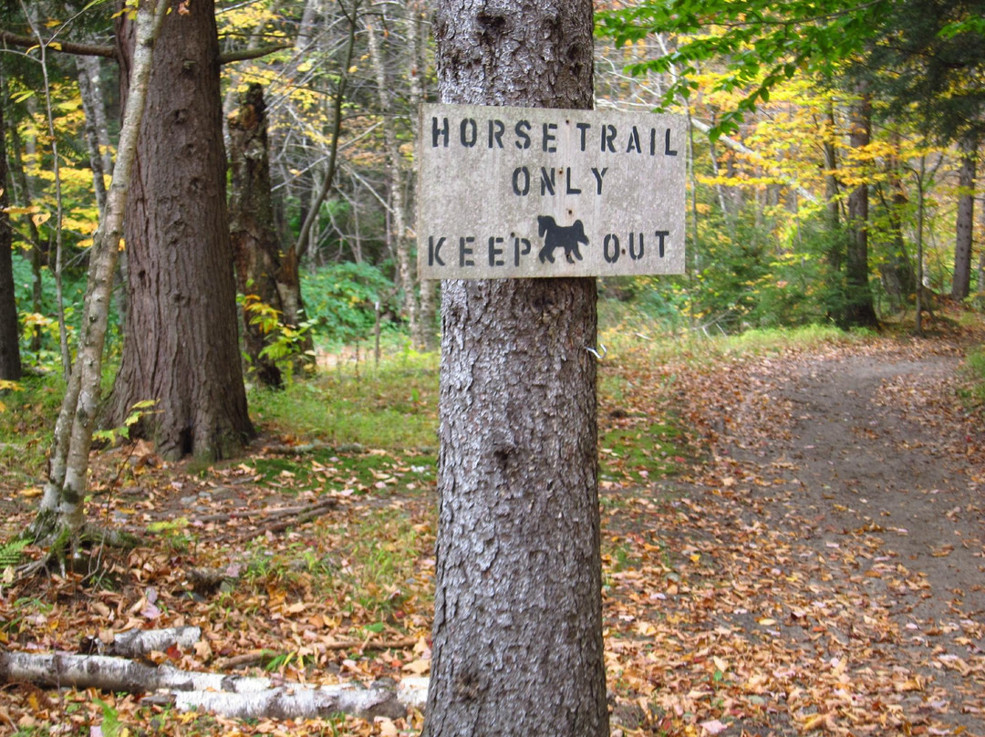 Gentle Giants Sleigh and Carriage Rides-斯托必去景点