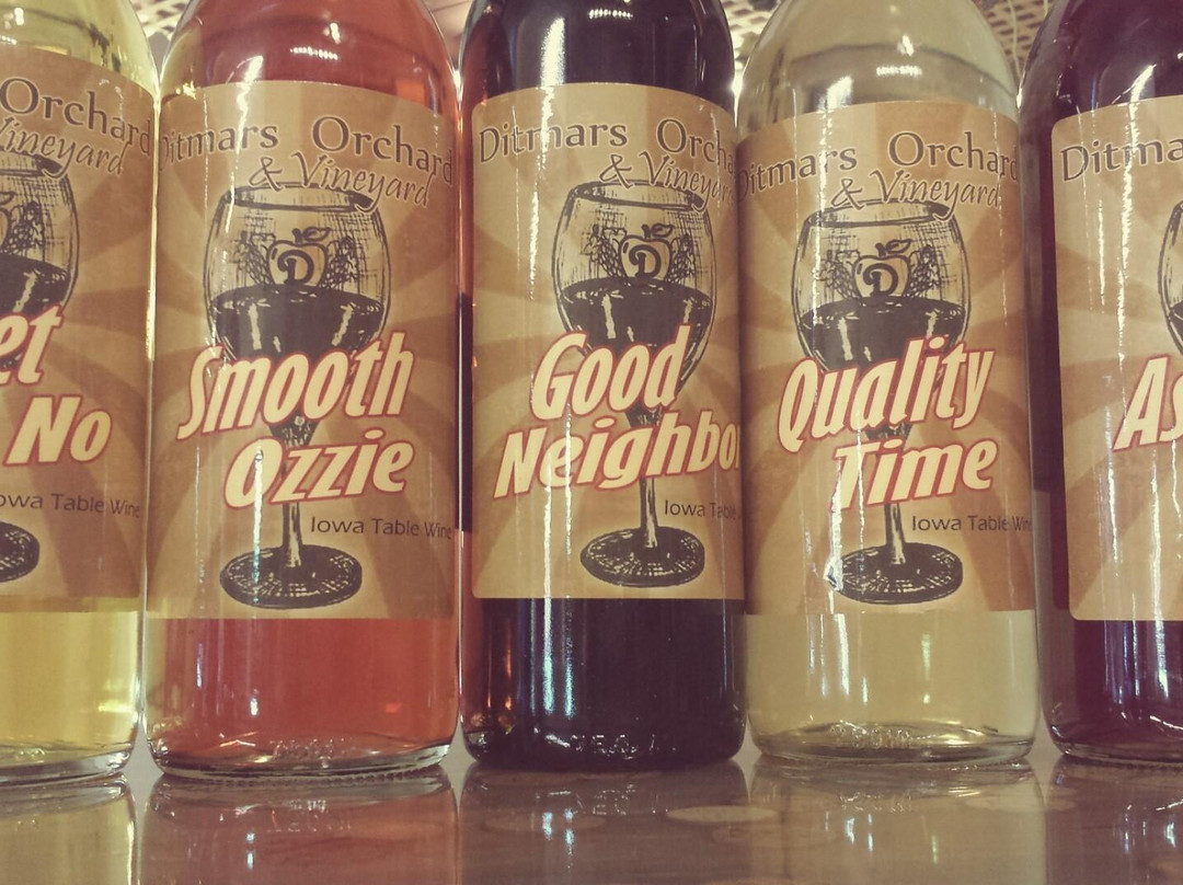 Ditmars Orchard-康瑟尔布拉夫斯必去景点