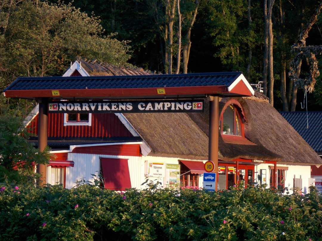 Caravan Club Norrvikens Camping