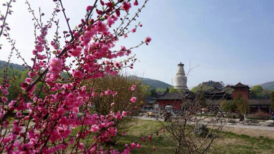 塔院寺-五台县必去景点
