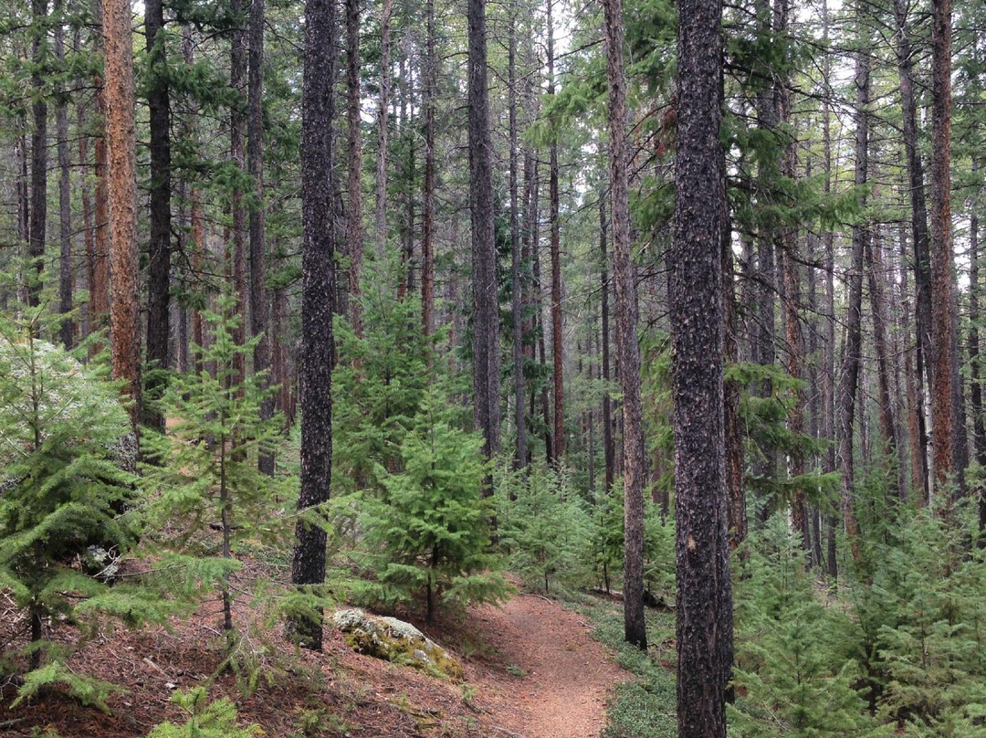 Pike National Forest-Fairplay必去景点