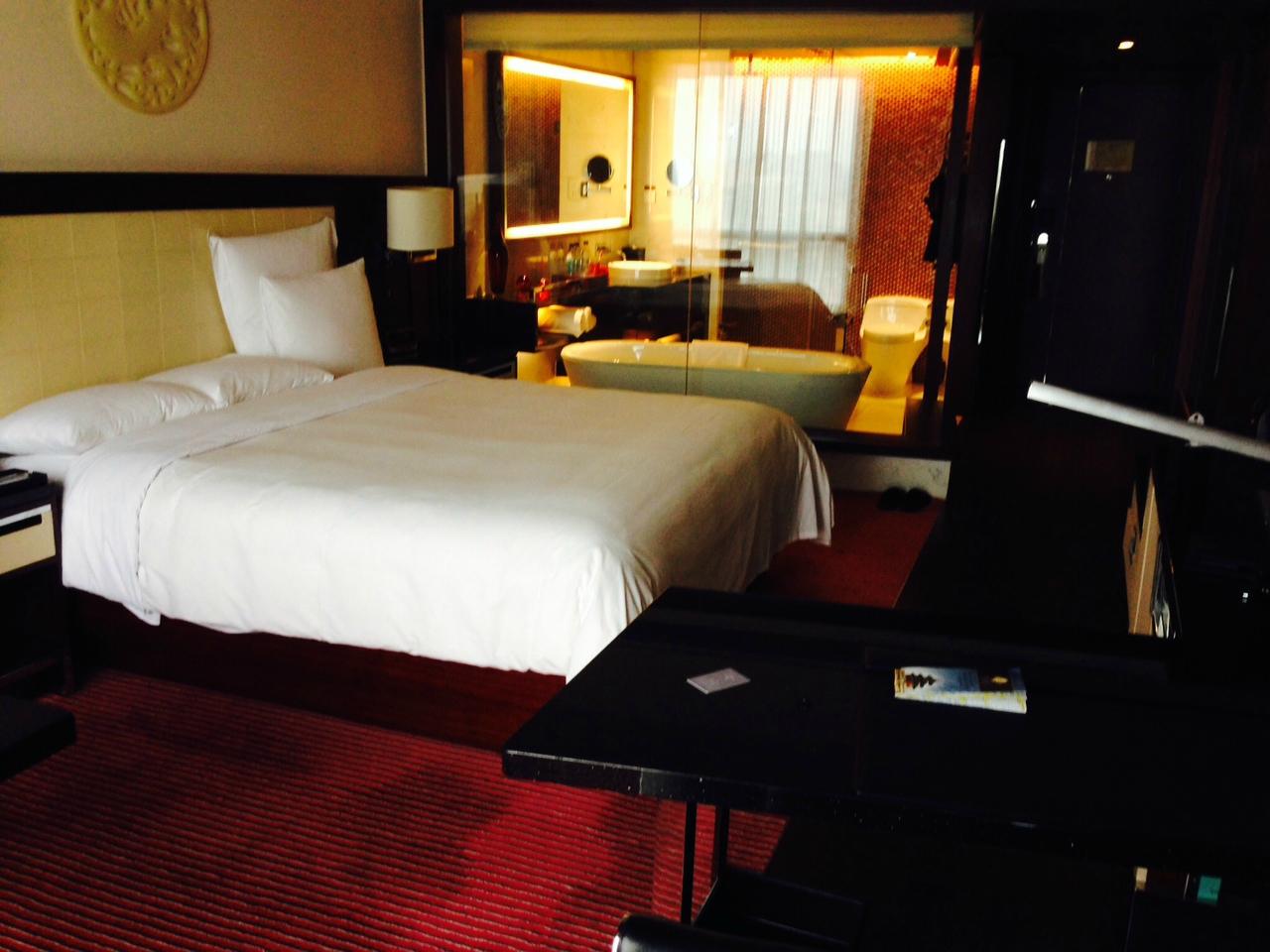 北京富力万丽酒店-客卧