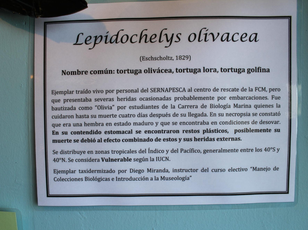 Acuario y Museo Facultad de Ciencias del Mar-Coquimbo必去景点