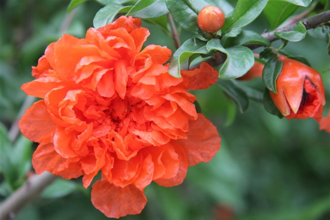 绿博园-郑州市必去景点