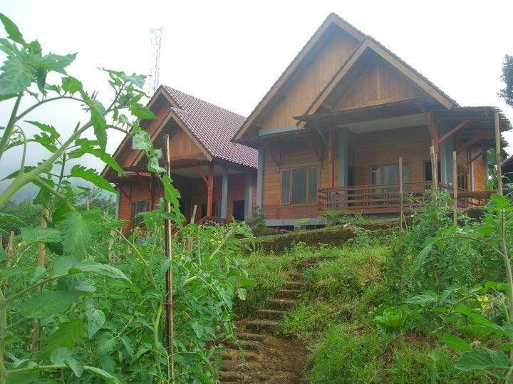 Istana Petani Homestay主图
