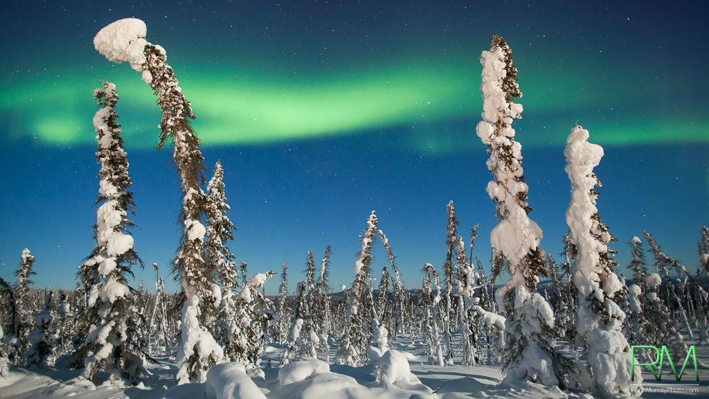 费尔班克斯极光猎人-费尔班克斯必去景点