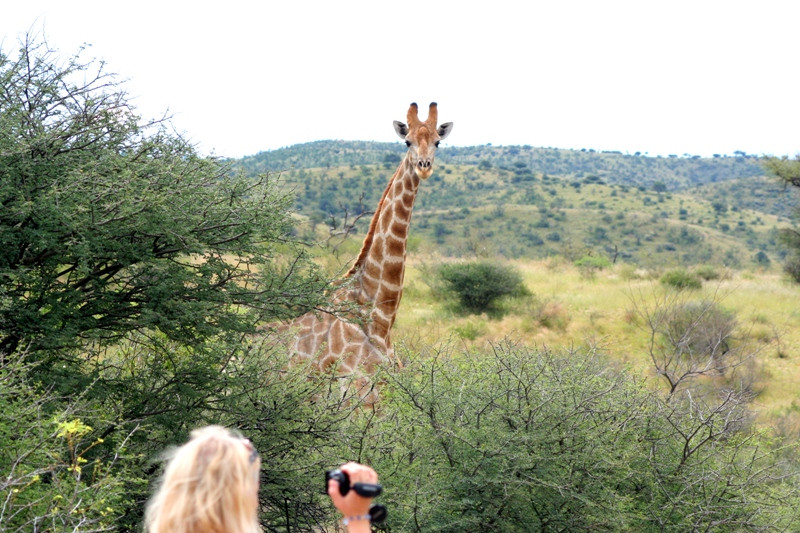 Daan Viljoen Nature Reserve-温德和克必去景点