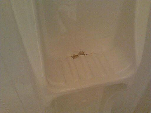 Badlands Motel主图