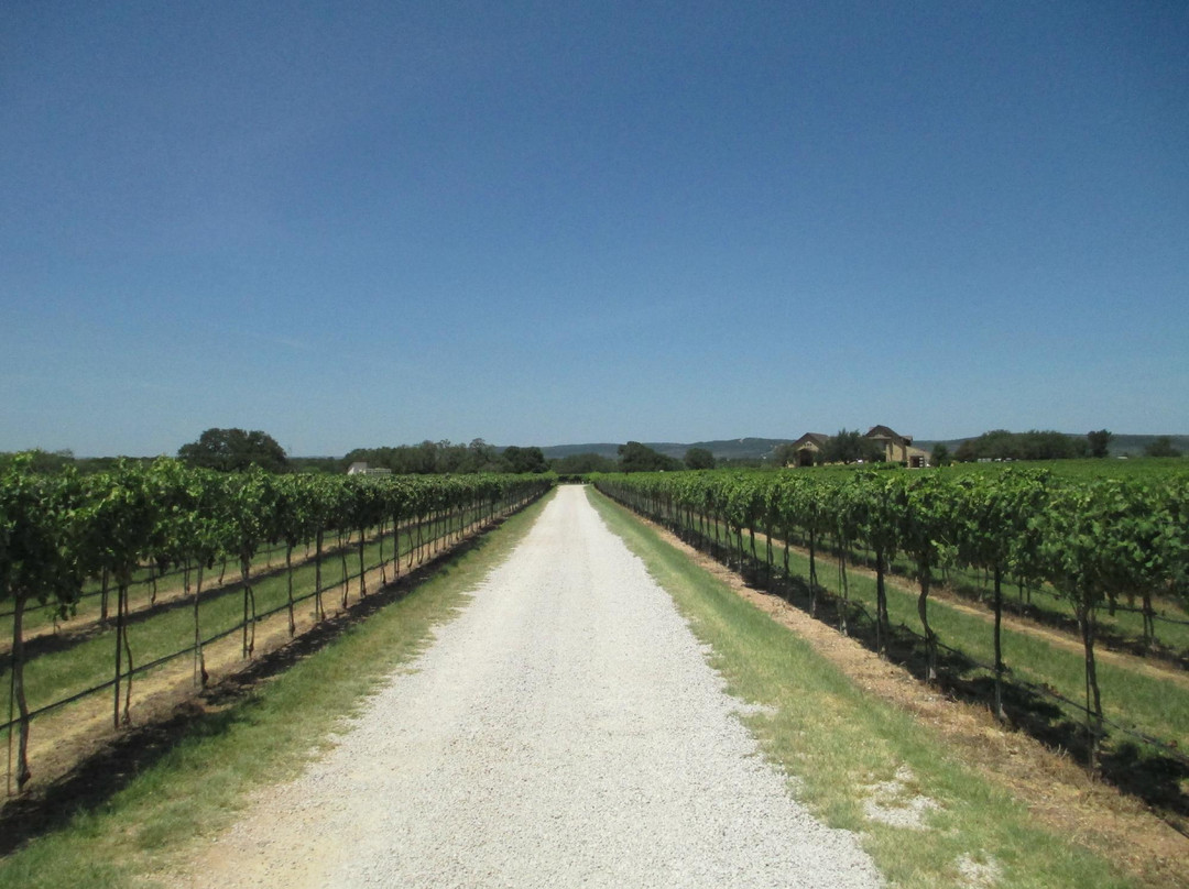 Perissos Vineyards-Burnet必去景点