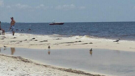 Mexico Beach景点图片