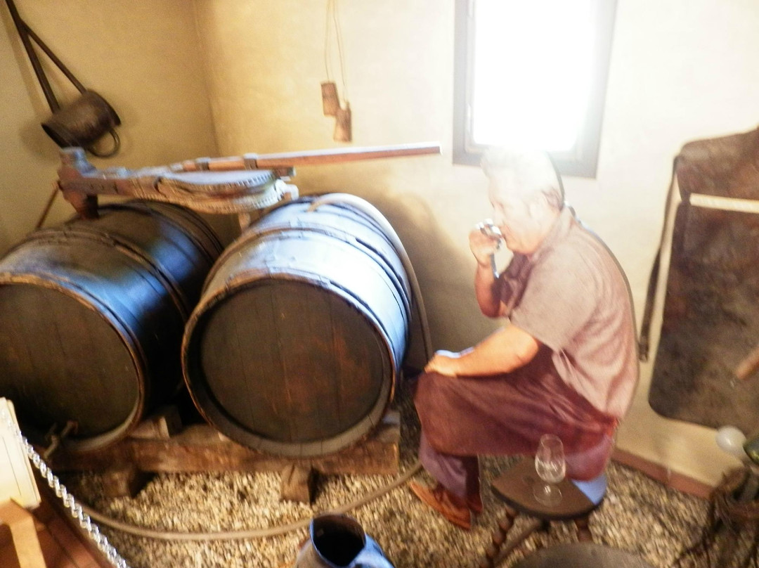 Musee du Vin Brotte Dégustation et Vente景点图片