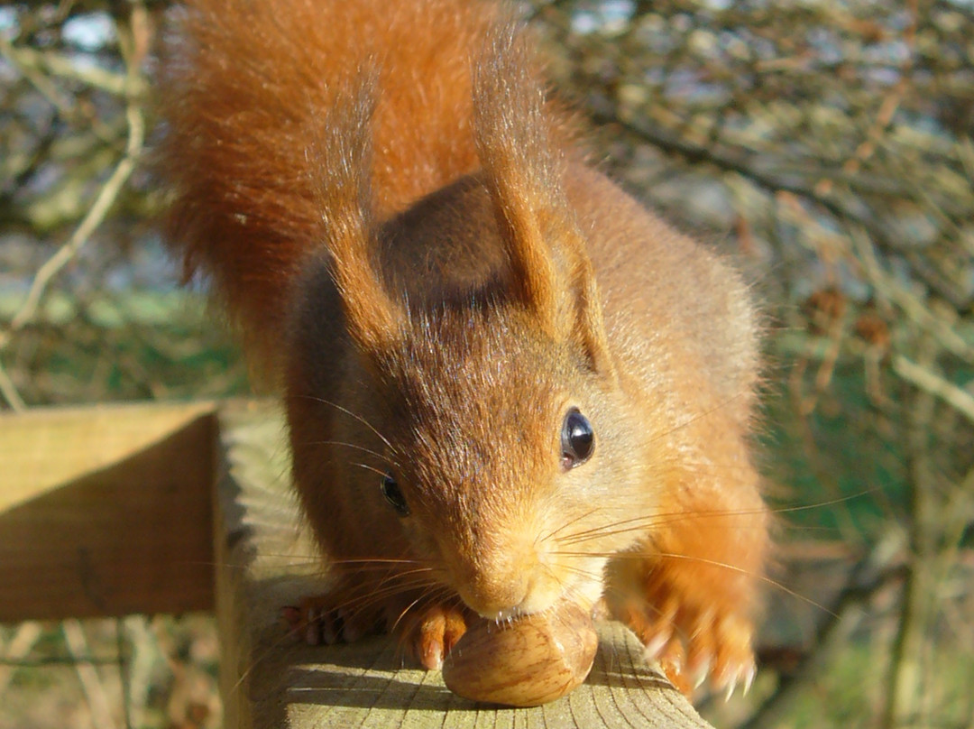 Wildwood Devon-Ottery St. Mary必去景点