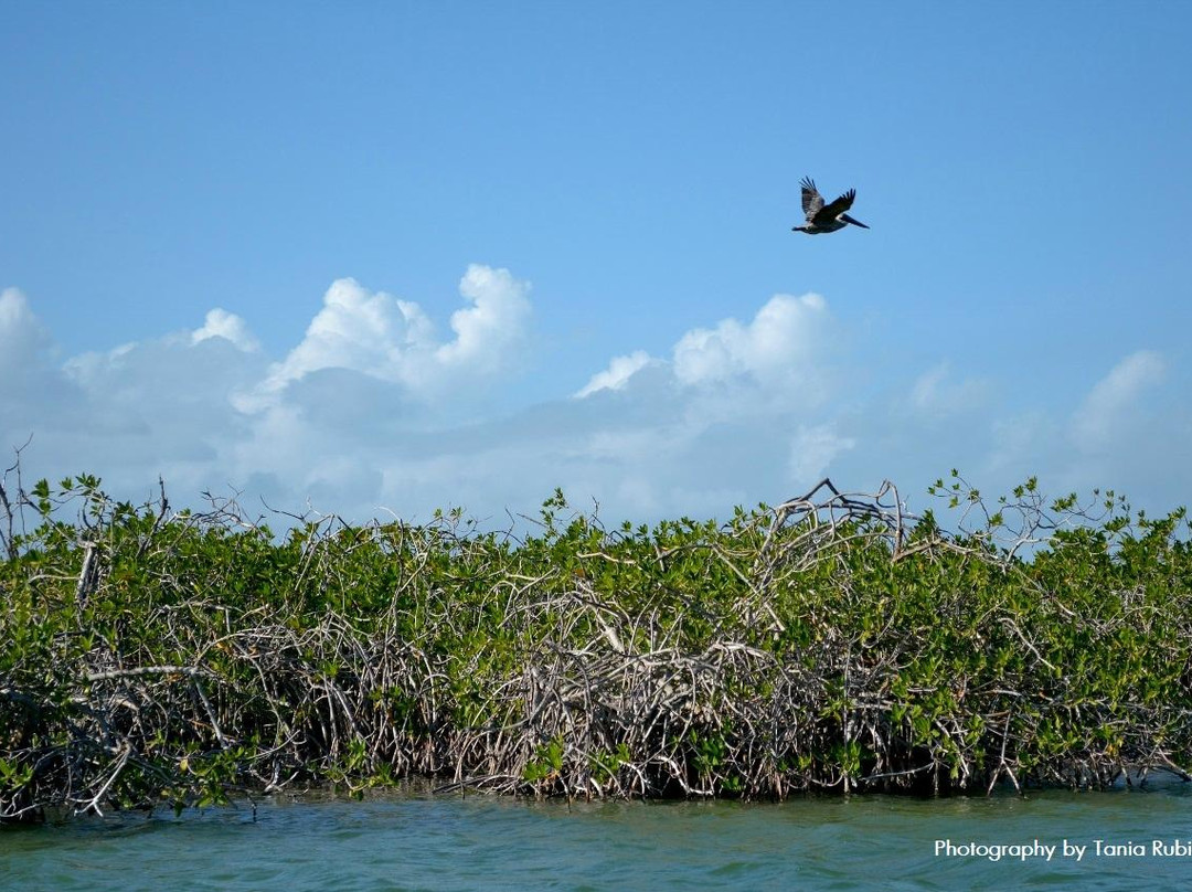 Cesiak Tours-图伦必去景点