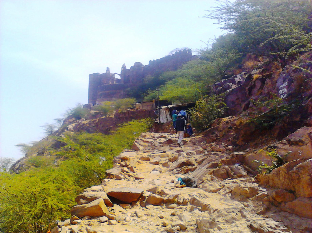 Taragarh Fort景点图片