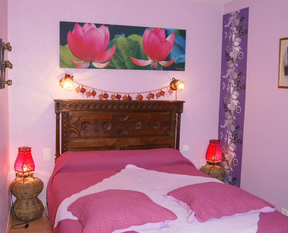 Chambres d'hotes de Sainte-Anne主图
