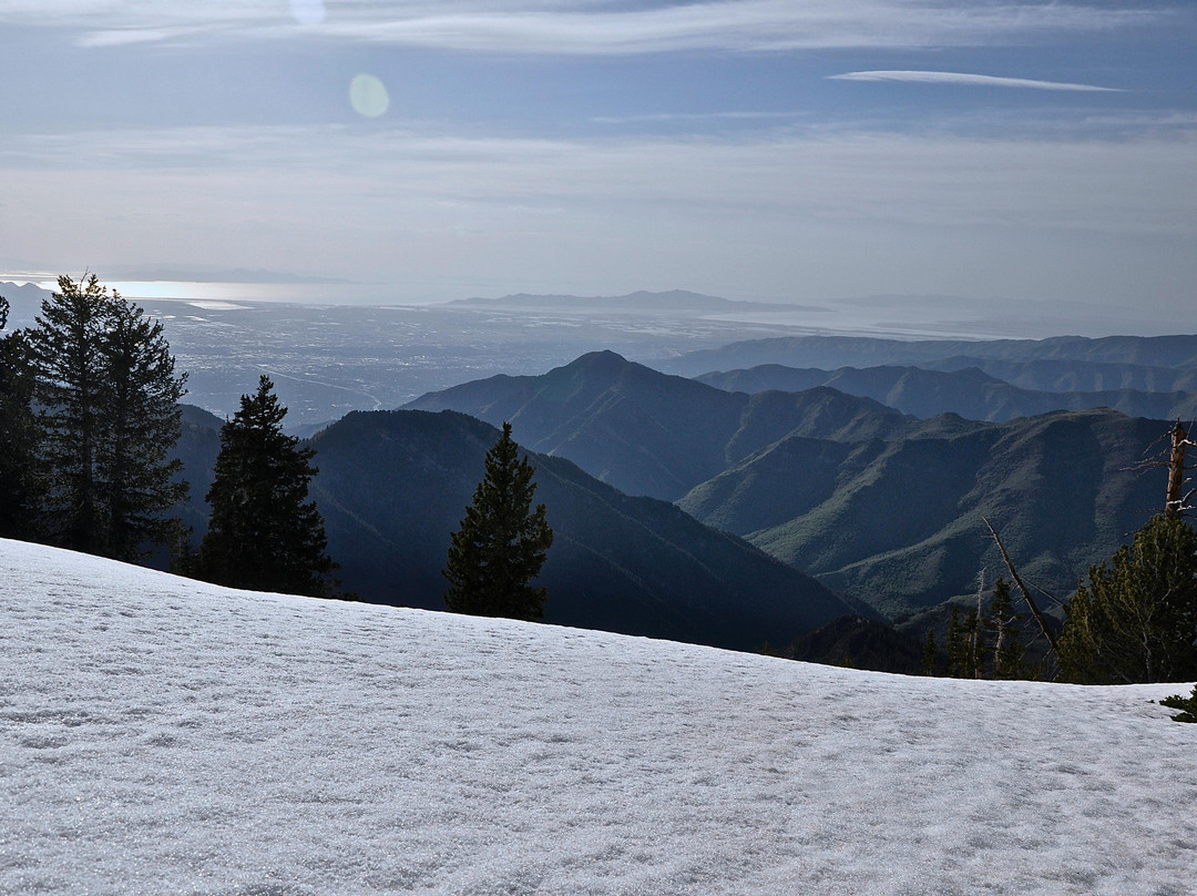 大三叶杨峡谷-盐湖城必去景点