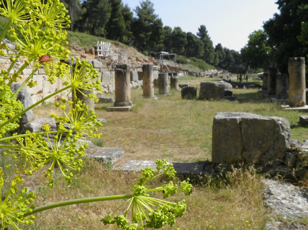 Amphiaraion Archaeological Site-Oropos必去景点