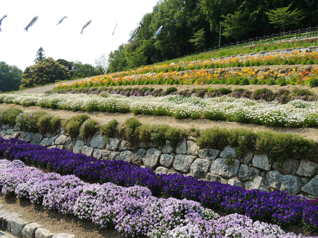Kuragaike Park-丰田市必去景点