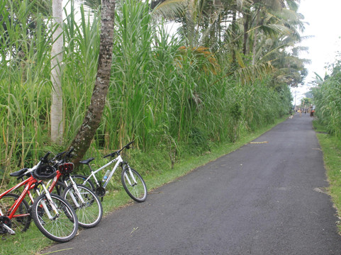 Hai Bali Cycling Tour-坦帕克西林必去景点