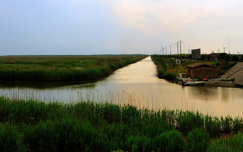 崇明东滩自然保护区-崇明县必去景点