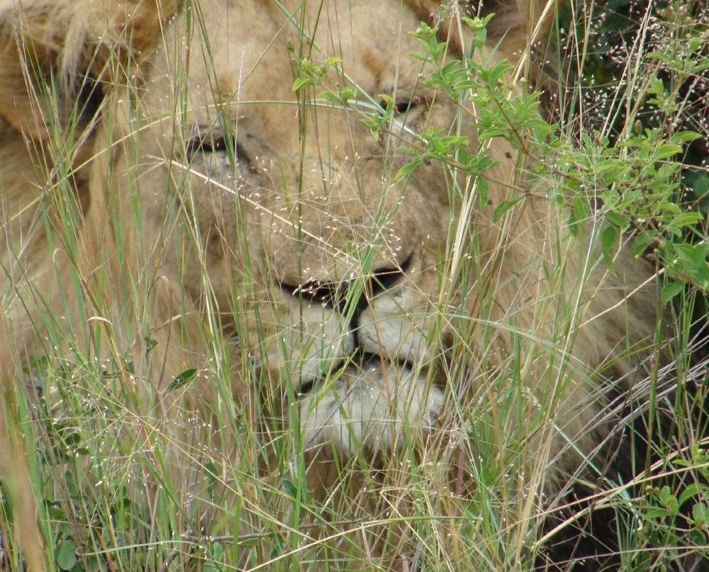 null-Entabeni Game Reserve