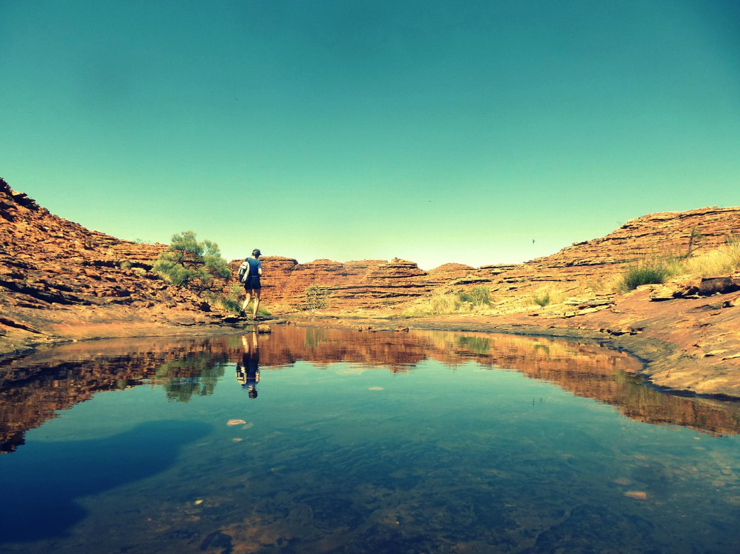 Kings Canyon旅游攻略图片