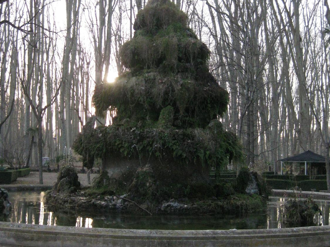 Parc de la Devesa景点图片