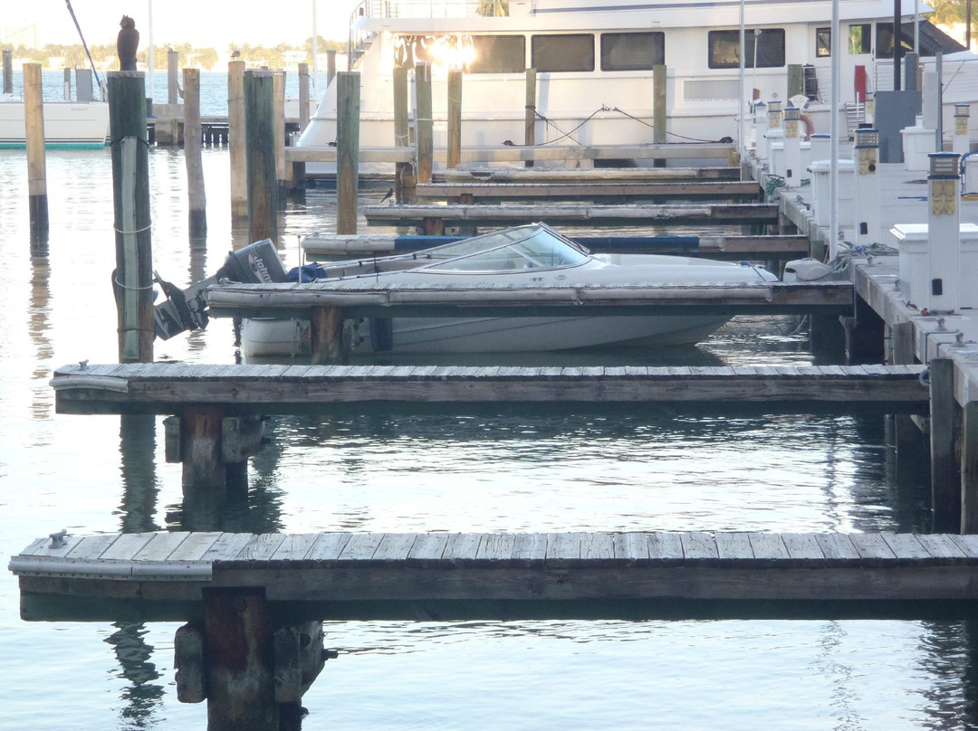 I95 Helicopter Tours-迈阿密海滩必去景点