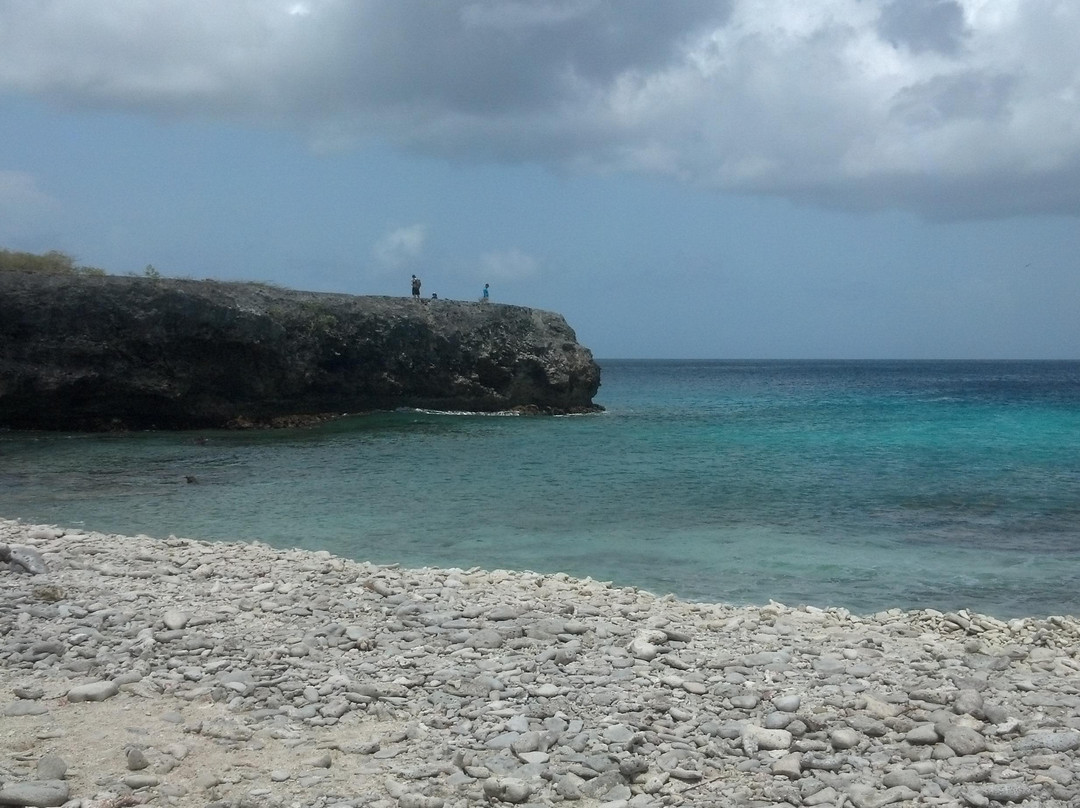 Playa Funchi-Washington-Slagbaai National Park必去景点