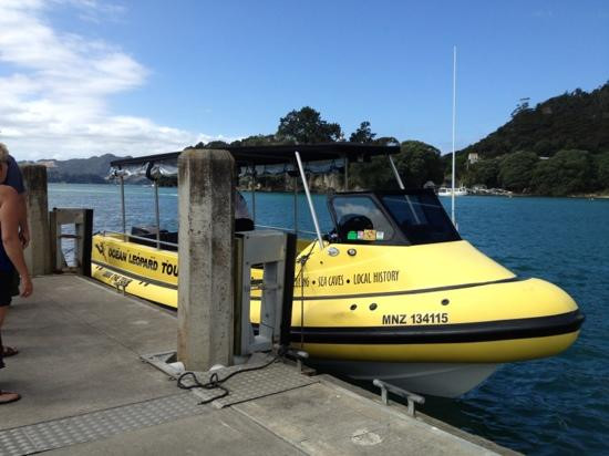 Ocean Leopard - Cathedral Cove Boat Tours-菲蒂昂格必去景点