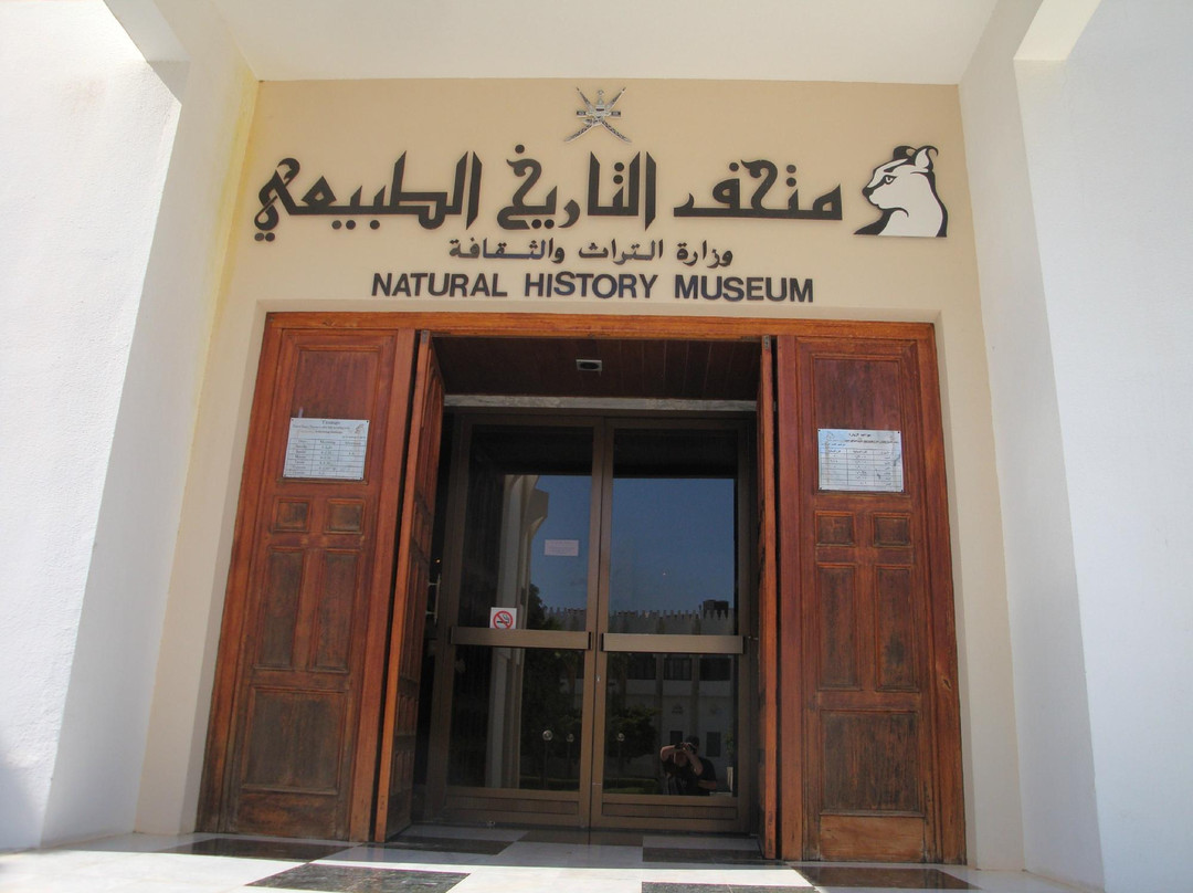 Natural History Museum-马斯喀特必去景点