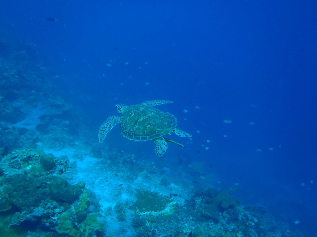 Blue Season Bali at The Menjangan景点图片