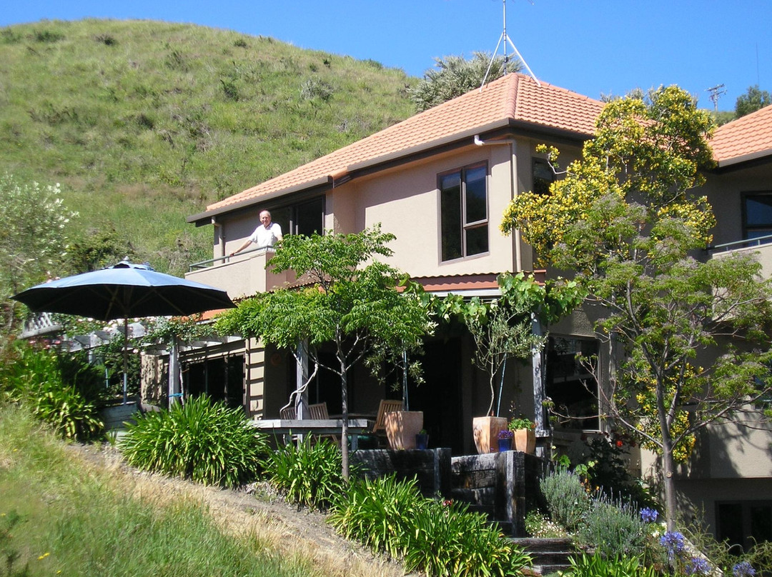 Takaka Hill旅游攻略图片