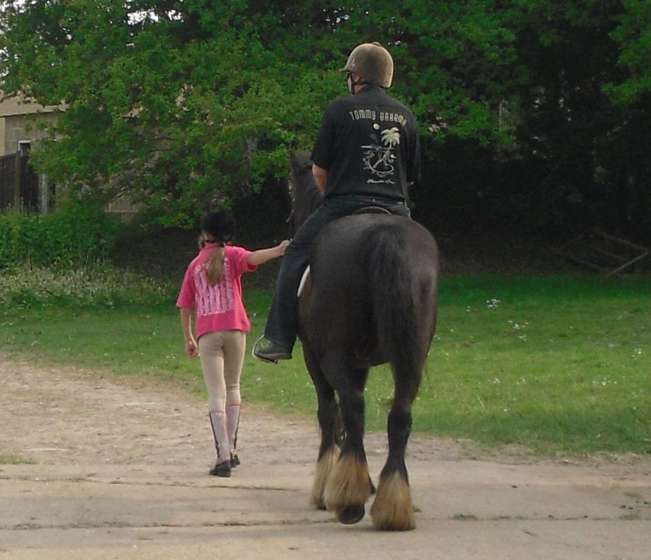 Allendale Equestrian Centre景点图片