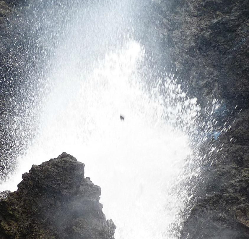 尼拉海滩-维雷亚必去景点