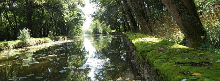 Le Moulin de Chere主图