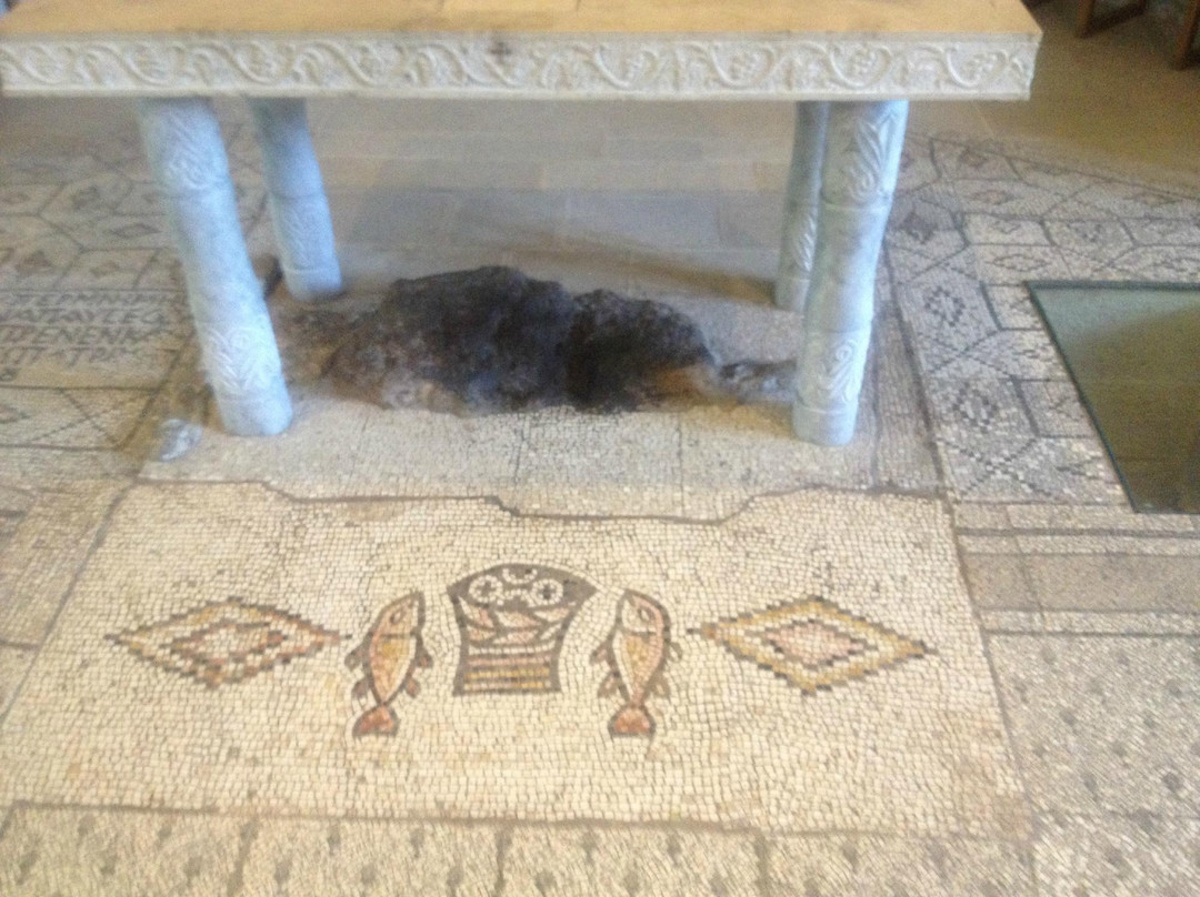 Abboud Tours-Haifa必去景点