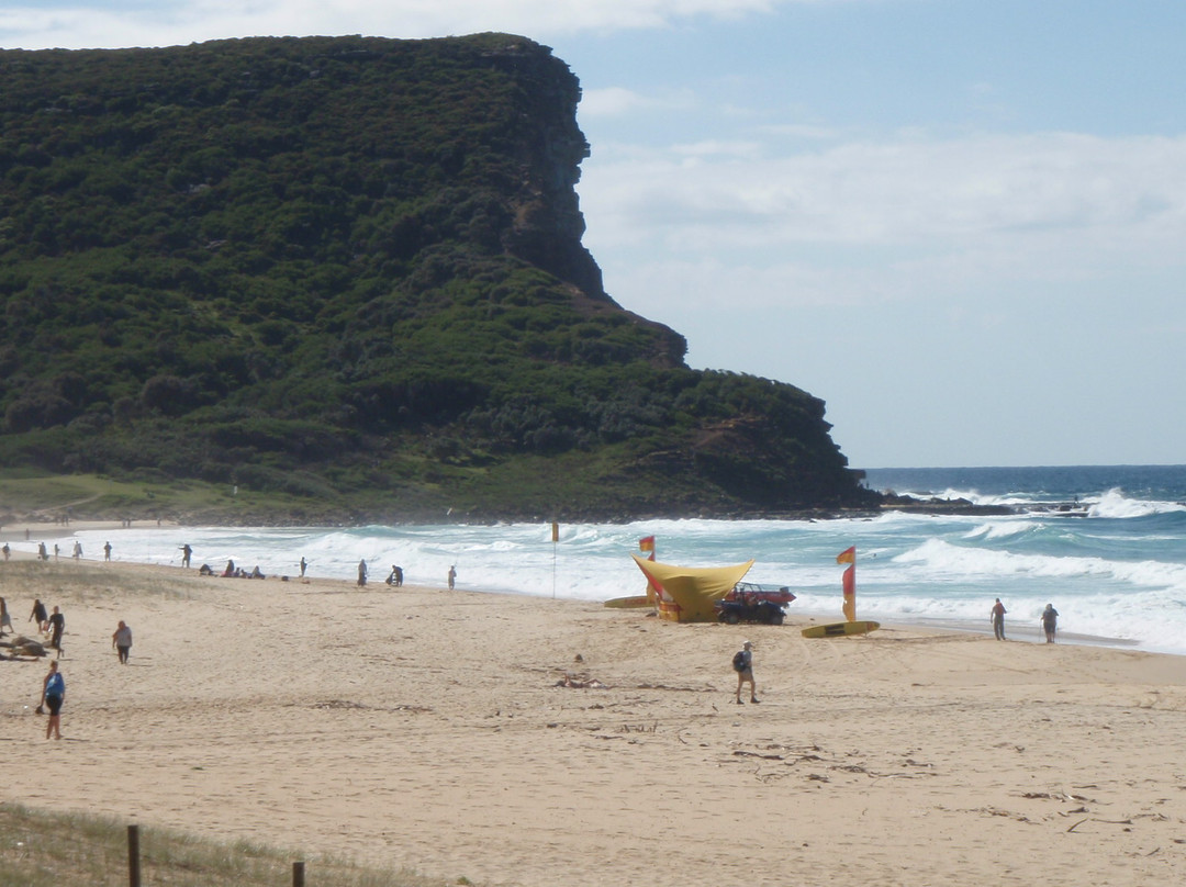 蓝色海洋路-卧龙岗市必去景点